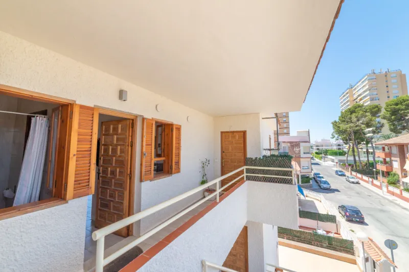 Vista desde la terraza: la calle, los pinos y el mar al fondo
